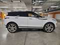 Land Rover Range Rover Evoque P250 Autobiography Aut. Weiß - thumbnail 5