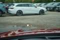 Kia Stinger 3.3 GT Sitzbelüftung HarmanKardon 360° Rot - thumbnail 29