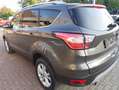 Ford Kuga Titanium mit Anhängerkupplung abnehmbar Grau - thumbnail 19