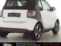 smart forTwo Fortwo Cabrio EQ EXCLUSIVE*22KW*WINTER Passion White - thumbnail 9