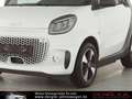 smart forTwo Fortwo Cabrio EQ EXCLUSIVE*22KW*WINTER Passion White - thumbnail 8