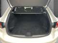 Mazda 6 Kombi Sports-Line 2.5 SportPlus HUD Navi Soundsyst Weiß - thumbnail 5