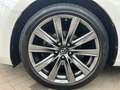 Mazda 6 Kombi Sports-Line 2.5 SportPlus HUD Navi Soundsyst Weiß - thumbnail 15