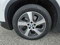 BMW X2 xDrive20d Advantage Aut. *AHK* Weiß - thumbnail 9
