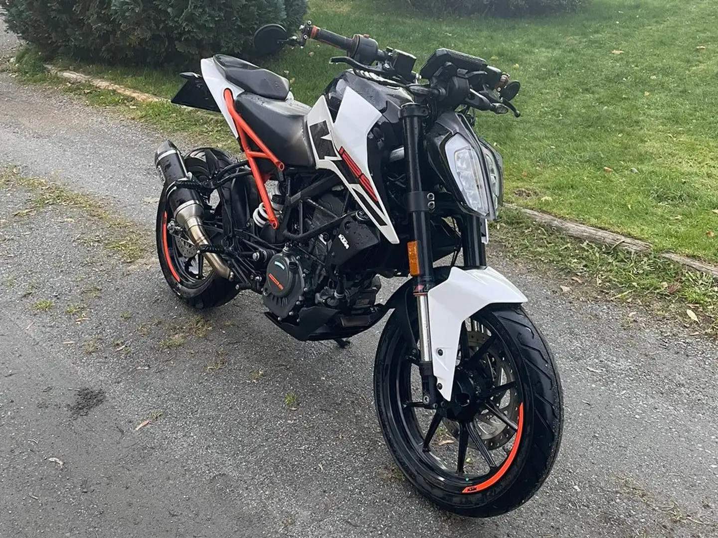 KTM 125 Duke Alb - 1