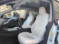 Tesla Model Y Performance AWD TETTO PELLE BIANCA Blanc - thumbnail 10