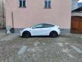 Tesla Model Y Performance AWD TETTO PELLE BIANCA Blanc - thumbnail 4