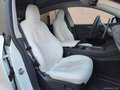 Tesla Model Y Performance AWD TETTO PELLE BIANCA Blanc - thumbnail 14