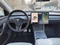 Tesla Model Y Performance AWD TETTO PELLE BIANCA Blanc - thumbnail 21