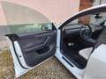 Tesla Model Y Performance AWD TETTO PELLE BIANCA Blanc - thumbnail 9