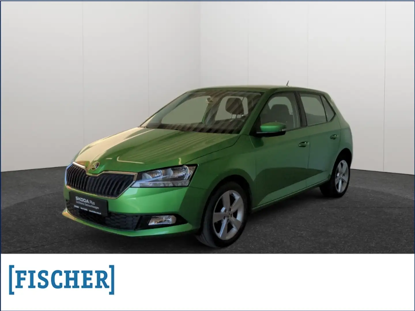 Skoda Fabia 1.0 Cool Plus SHZ Klima BT PDC hinten DAB+ Grün - 1