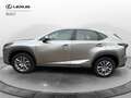 Lexus NX 300 NX 300 Hybrid 4WD Executive Argento - thumbnail 2