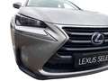 Lexus NX 300 NX 300 Hybrid 4WD Executive Argento - thumbnail 9