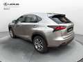 Lexus NX 300 NX 300 Hybrid 4WD Executive Argento - thumbnail 3