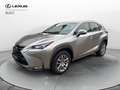 Lexus NX 300 NX 300 Hybrid 4WD Executive Argento - thumbnail 1
