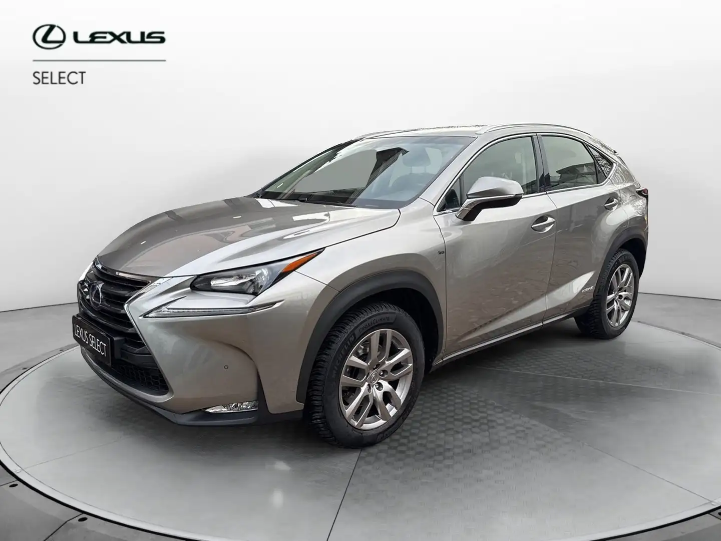 Lexus NX 300 NX 300 Hybrid 4WD Executive Argento - 1
