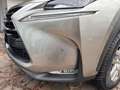 Lexus NX 300 NX 300 Hybrid 4WD Executive Argento - thumbnail 12