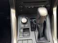 Lexus NX 300 NX 300 Hybrid 4WD Executive Argent - thumbnail 28