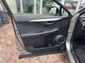 Lexus NX 300 NX 300 Hybrid 4WD Executive Argent - thumbnail 18