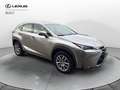 Lexus NX 300 NX 300 Hybrid 4WD Executive Argento - thumbnail 8
