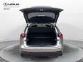 Lexus NX 300 NX 300 Hybrid 4WD Executive Argent - thumbnail 16