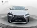 Lexus NX 300 NX 300 Hybrid 4WD Executive Argento - thumbnail 5