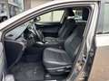 Lexus NX 300 NX 300 Hybrid 4WD Executive Argent - thumbnail 17