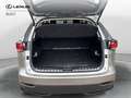 Lexus NX 300 NX 300 Hybrid 4WD Executive Argento - thumbnail 15