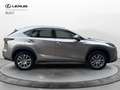 Lexus NX 300 NX 300 Hybrid 4WD Executive Argento - thumbnail 7