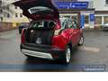 Opel Crossland Elegance*SR+WR*SHZ*R-Cam*Zahnr.Neu*AHK Rot - thumbnail 19