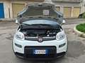 Fiat Panda Panda III 2021 1.0 firefly hybrid s Bianco - thumbnail 10