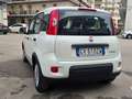 Fiat Panda Panda III 2021 1.0 firefly hybrid s Bianco - thumbnail 3