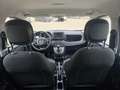 Fiat Panda Panda III 2021 1.0 firefly hybrid s Bianco - thumbnail 8