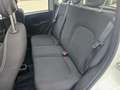 Fiat Panda Panda III 2021 1.0 firefly hybrid s Bianco - thumbnail 9