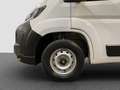 Fiat Ducato 35Q LH2 2.2 Mjt 140CV "IVA ESPOSTA" Blanc - thumbnail 20