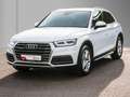 Audi Q5 35 TDI design Navi Matrix Business Weiß - thumbnail 2