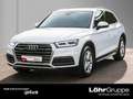 Audi Q5 35 TDI design Navi Matrix Business Weiß - thumbnail 1