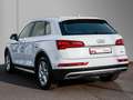 Audi Q5 35 TDI design Navi Matrix Business Weiß - thumbnail 7