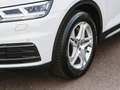 Audi Q5 35 TDI design Navi Matrix Business Weiß - thumbnail 22