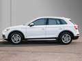 Audi Q5 35 TDI design Navi Matrix Business Weiß - thumbnail 5