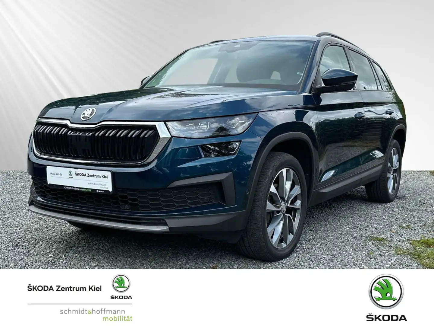 Skoda Kodiaq 2.0 TDI Tour (EURO 6d) Klima Navi Rückfahrkamera Blau - 1