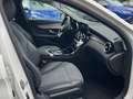 Mercedes-Benz C 180 C -Klasse T-Modell *PANO/KAMERA/NAVI* Bianco - thumbnail 13