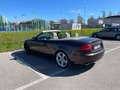 Audi A5 Cabrio 3.000 cc diesel 4x4 248 cv del 2010 Marrone - thumbnail 4
