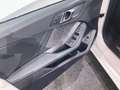 BMW 120 BMW 120 M SPORT /PANO/ DRIVING ASSISTANT Blanc - thumbnail 13