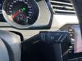 Volkswagen Passat Variant Business 2,0 TDI DSG Grau - thumbnail 43