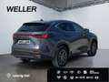 Lexus E-FOUR Executive Line *AHK*Leder*360Grad* Gris - thumbnail 19
