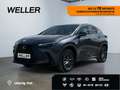 Lexus E-FOUR Executive Line *AHK*Leder*360Grad* Šedá - thumbnail 1