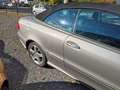 Mercedes-Benz CLK 500 CLK Cabrio 500 Avantgarde AMG Optic. Grau - thumbnail 6