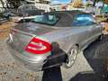 Mercedes-Benz CLK 500 CLK Cabrio 500 Avantgarde AMG Optic. Grau - thumbnail 8