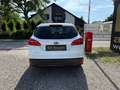 Ford Focus Focus Traveller 1,5 TDCi ECOnetic Trend Trend Weiß - thumbnail 7